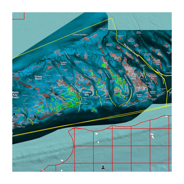 Garmin GAR010C119700 Keys Standard Mapping Professional