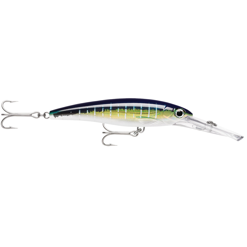 Rapala X-Rap&reg; Magnum&reg; 20 Sailfish UV