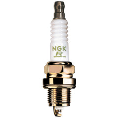 NGK 2420 Standard Spark Plug - D9EA, 10 Pack